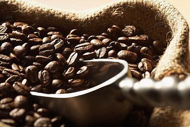 《龙珠战士Z》世界锦标赛线下赛受疫情影响而取消