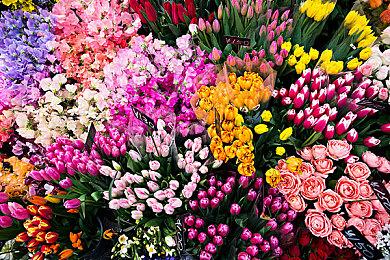 赛博朋克肉鸽射击新作《弧光行者》发售 上市宣传片赏